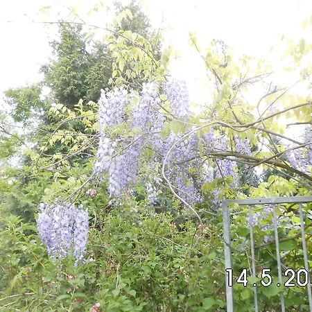 Сasa de vacaciones Linnemanns Gaestehaus