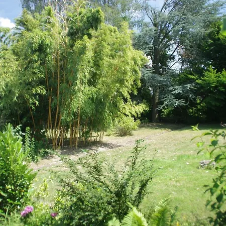 Linnemanns Gaestehaus Сasa de vacaciones *