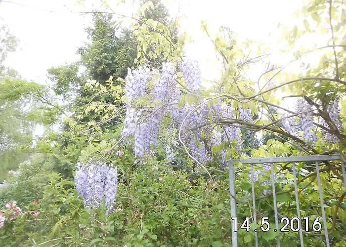 Hébergement de vacances Linnemanns Gaestehaus